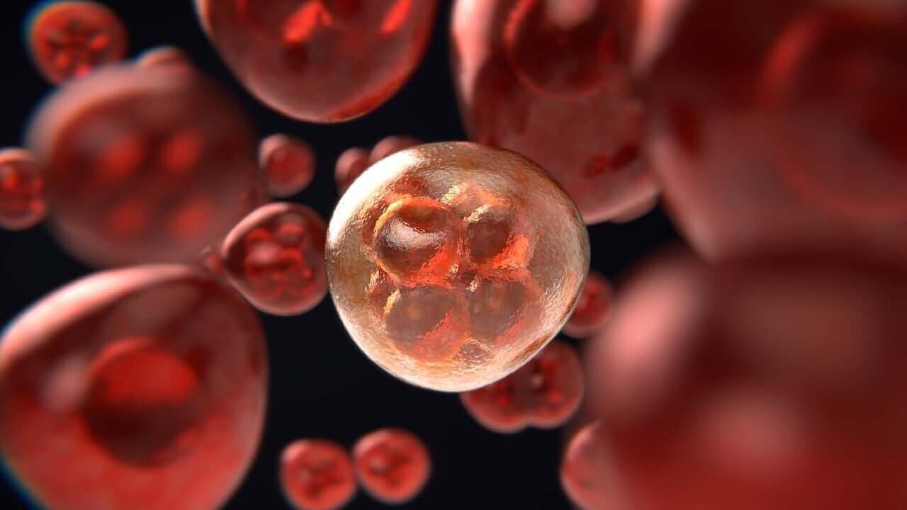 Global Tech Innovation Against Cancer