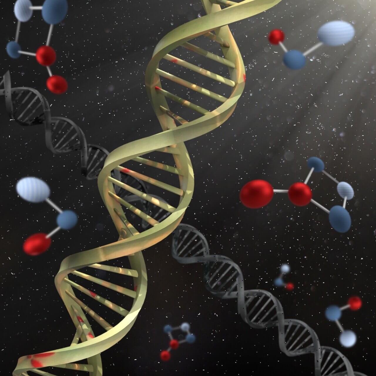 CRISPR Molecule Editing DNA