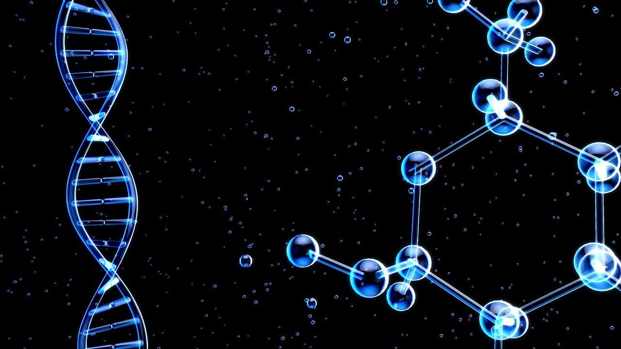 Nanobots Targeting Tumor Cells