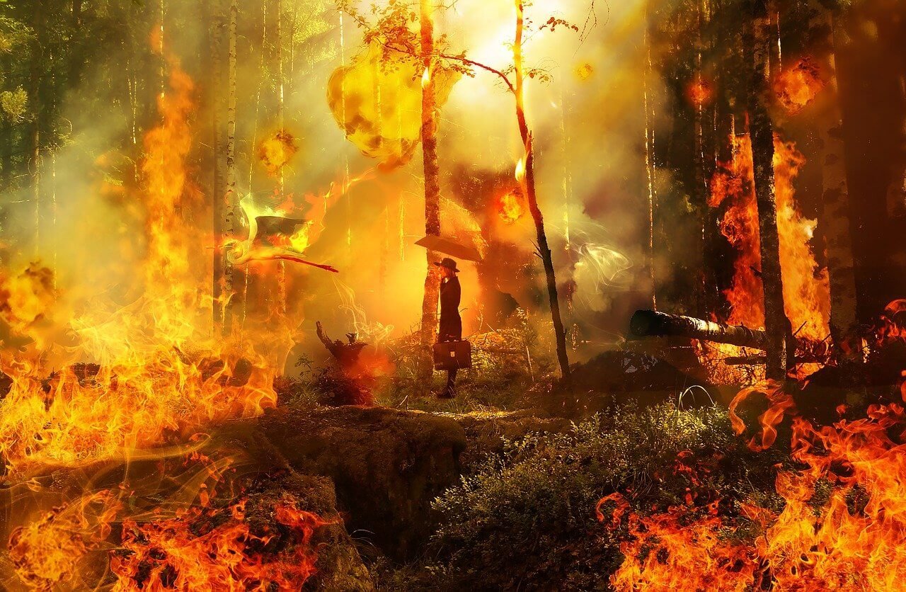 Global Warming Impact